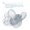 Soother Physio Comfort Silicon boy 6-12m 2 pieces assorted colors