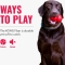 rubber flyer small toy for dogs