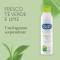 Green Tea and Lime Deodorant Spray 150ml