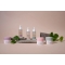 Snail Slime Serum 30 ml