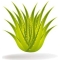 40 2in1 make-up remover wipes with aloe vera
