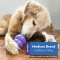 Senior - interactive toys for dogs measuring Medium