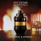 Spicebomb Extreme - Eau de Parfum for Men 50 ml Spray