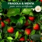 Strawberry & Mint - Purifying And Moisturizing Balm 200 Ml