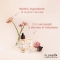 Illuminating Elixir Oil for the face 30 ml