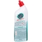 Toilet Gel descaler 750 ml