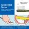Denture care - dentures brush