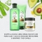 Pure Aloe + Avocado - sulfate-free dry hair shampoo 225 ml