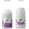 Lavender - Roll on Deodorant 50 Ml