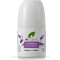 Lavender - Roll on Deodorant 50 Ml