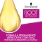 Root Retouch - Permanent regrowth retouch Dark brown