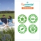 Air Pur - Blend of Essential Oils For Diffusion 30 ml