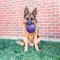Flexball - Ball for dogs - M / L