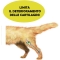 Very pure Veterinary Cod Liver Oil 1 L