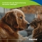 Seealgen  - Complementary feed for dogs and cats 225 tablets
