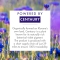 BIO Centaurea after shampoo balm 200 ml