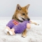 Sherps Llama - Plush for medium -sized dogs