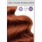 Permanent Hair Coloring Cream N 7.4 Medium auburn blonde