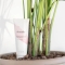 Anti-cellulite Cream 250 ml