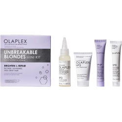 Unbreakable Blondes Mini Kit - Blonde Hair Set