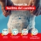 Baby Dry-Mutandino XL - 28 Diapers Size 6 (15+ kg)