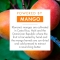 Mango - Nutrient shampoo 100 ml