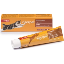 Vigorpet gatti -paste for cats 50 g