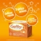 Geffer - granules for nausea and slow digestion 24 sachets of 5 g orange flavour