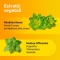 Supradyn Ricarica No Stress - Energy Supplement 20 sachets