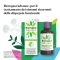 Iberogast Advance - reflux and stomachache Phytotherapeutic treatment 50Ml