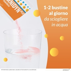 Carnidyn Plus - Mood Supplement 20 sachets