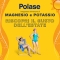 Classico - Magnesium and potassium supplement 24 Effervescent sachets