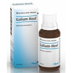 Galium Heel drops 30 ml - homeopathic medicine