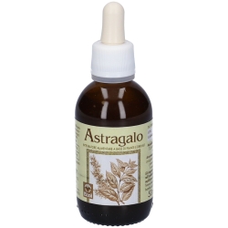Astragalus Drops 50 ml - Immune System Supplement