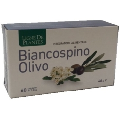 Hawthorn Olive 60 capsules - Cardiovascular supplement