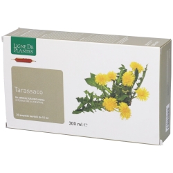 Dandelion 20 15ml Ampoules - Supplement for digestion, liver and cleansing
