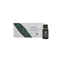 Ds1 Tersus 10 vials of 10 ml - Supplement for digestive function