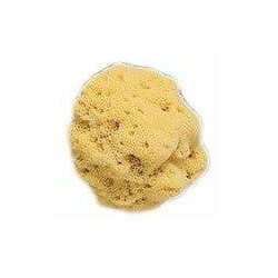 Large Hole Sponge No. 5