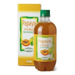 Fermented Papaya 500 ml - Digestion and antioxidant supplement