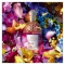 GUERLAIN Aqua Allegoria Florabloom - Eau De Toilette Women 40 ml Vapo