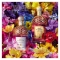 GUERLAIN Aqua Allegoria Florabloom - Eau De Toilette Women 40 ml Vapo