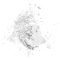 No More Pore Mattifying Powder - Transparent Compact Powder