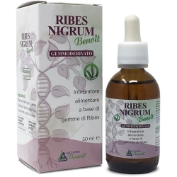 Benoit Blackcurrant Fluid Extract 50 ml - anti-inflammatory Supplement