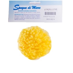 Natural Sea Sponge Medium Size