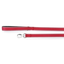 Reflex Leash with Neoprene Handle, Red, 15 x 1200 mm