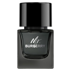 BURBERRY Mr. - Eau De Parfum for Men 50 ml Vapo