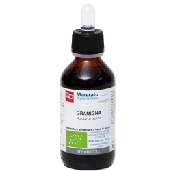 Couch Grass Organic Mother Tincture 100 ml - Supplement for draining body fluids