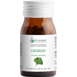 Supplement Ginko Biloba For Circulatory Function 60 Capsule 500 Mg