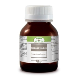 Chagafungus 60 Capsules - Supplement for Immune System, Stress, and Fatigue