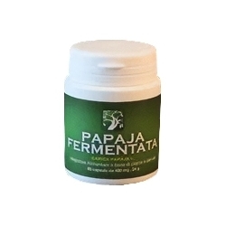 Supplement Immunostimulant Fermented Papaya 60 Capsule